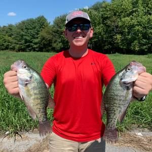 Meet your Posher, Austin